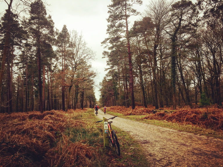 Exploring The New Forest #ReasonsToRide