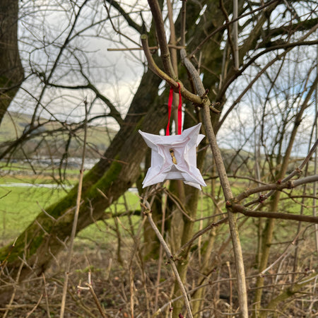 Bikes and Baubles (FEAST)