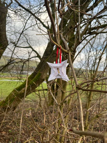 Bikes and Baubles (FEAST)